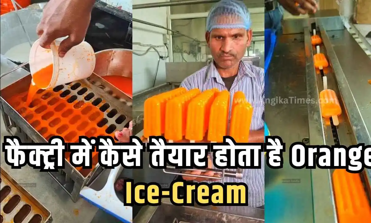 फैक्ट्री में कैसे तैयार होता है Orange Ice-Cream